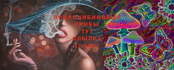соль ск Абинск