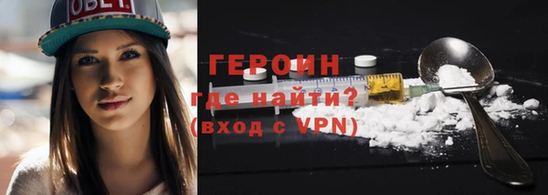 прущие грибы Новозыбков