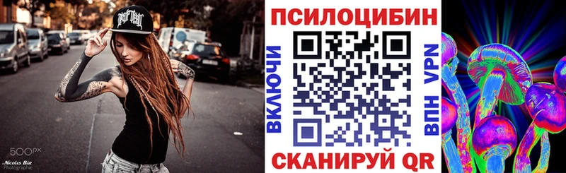 как найти   Нефтегорск  Галлюциногенные грибы Psilocybe 